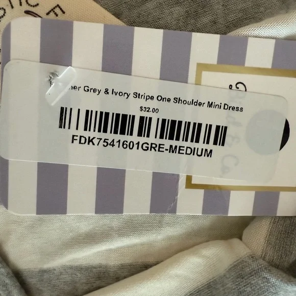 Fantastic Fawn Gray Stripe One Shoulder Mini Dress NWT Women’s size Medium - Picture 8 of 9